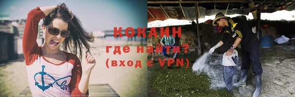 прущие грибы Абаза