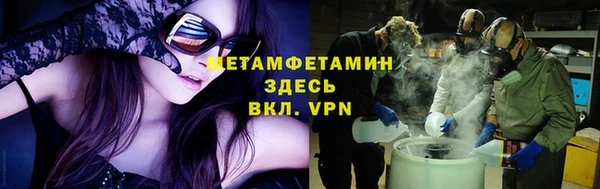 прущие грибы Абаза