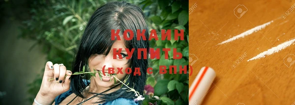 прущие грибы Абаза