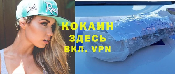 прущие грибы Абаза