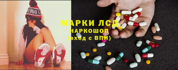 прущие грибы Абаза