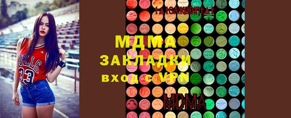 прущие грибы Абаза