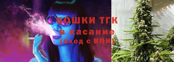 прущие грибы Абдулино