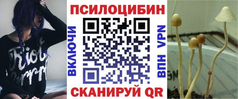 Псилоцибиновые грибы мухоморы закладка Калач